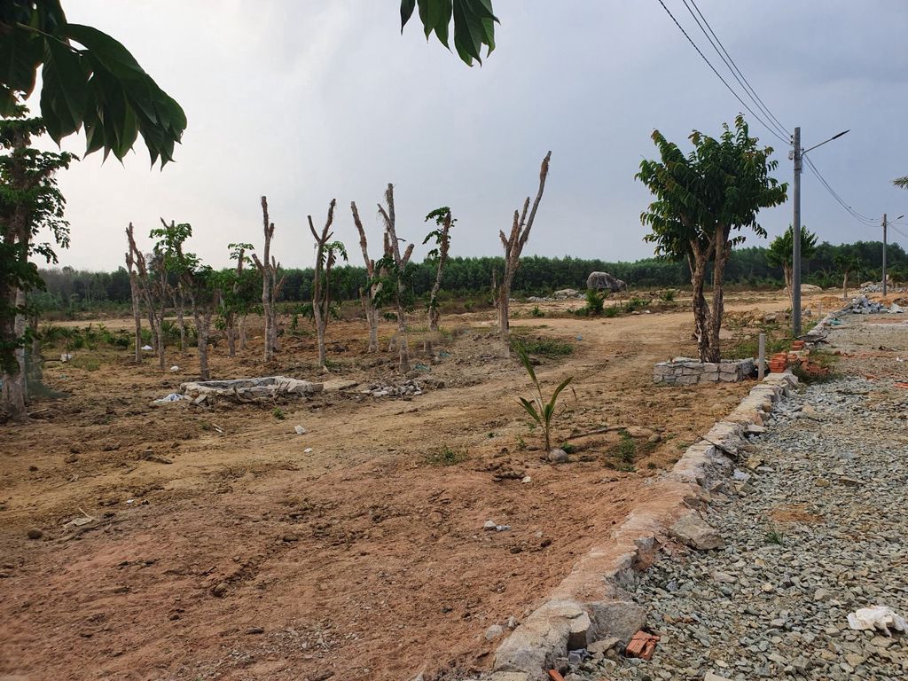 Bán đất Đồng Nai - 3