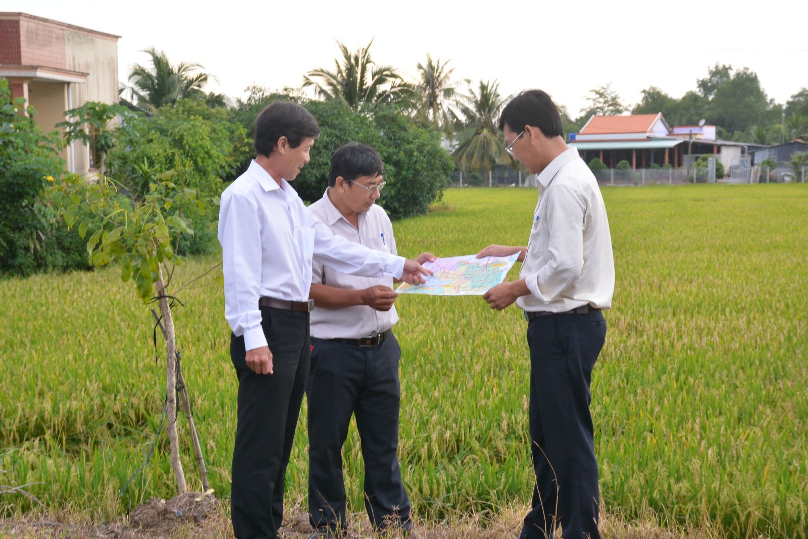 bản đồ quy hoạch huyện Tân Trụ - 2