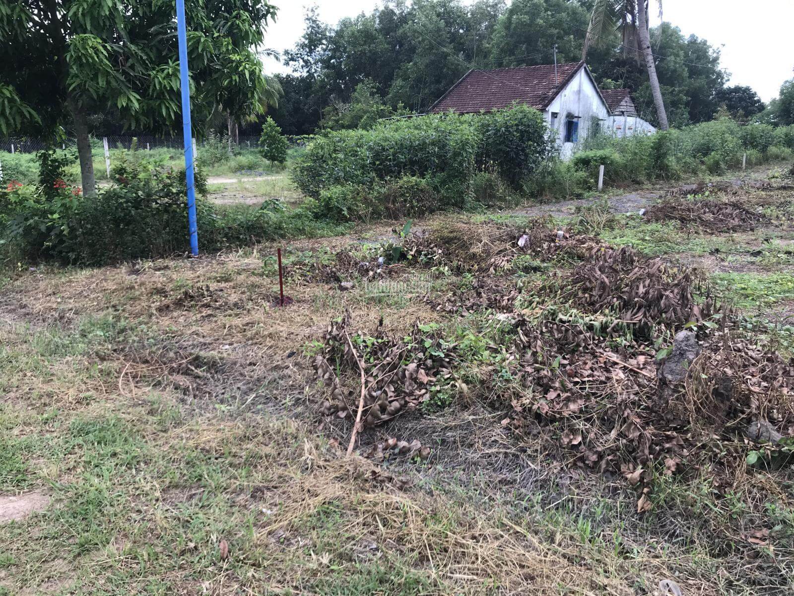 bán đất nông nghiệp, huyện Tân Phú, Đồng Nai 1