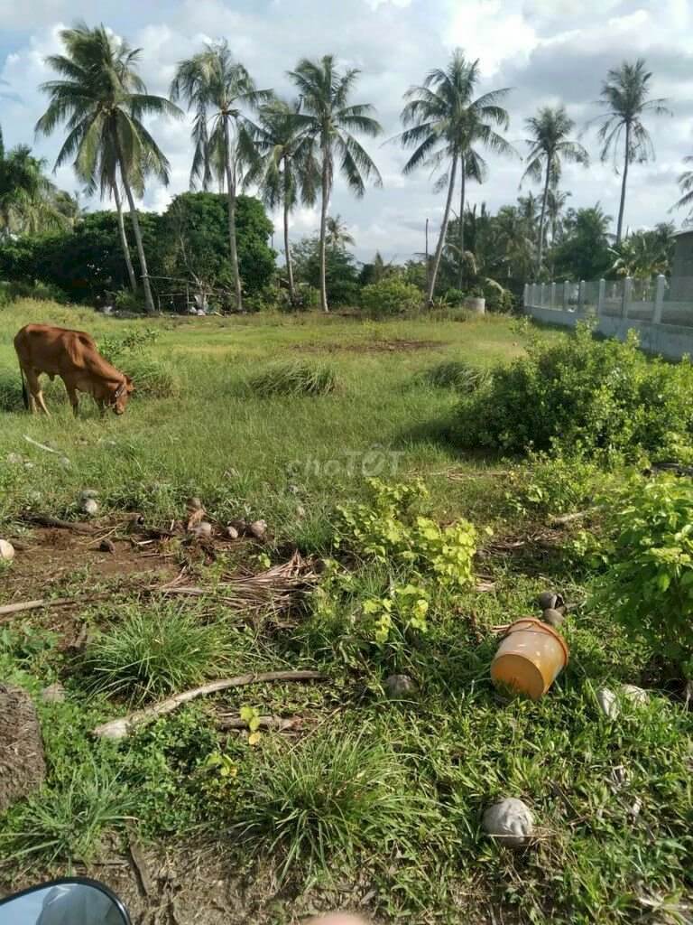 bán đất nông nghiệp, huyện Tân Phú, Đồng Nai 3