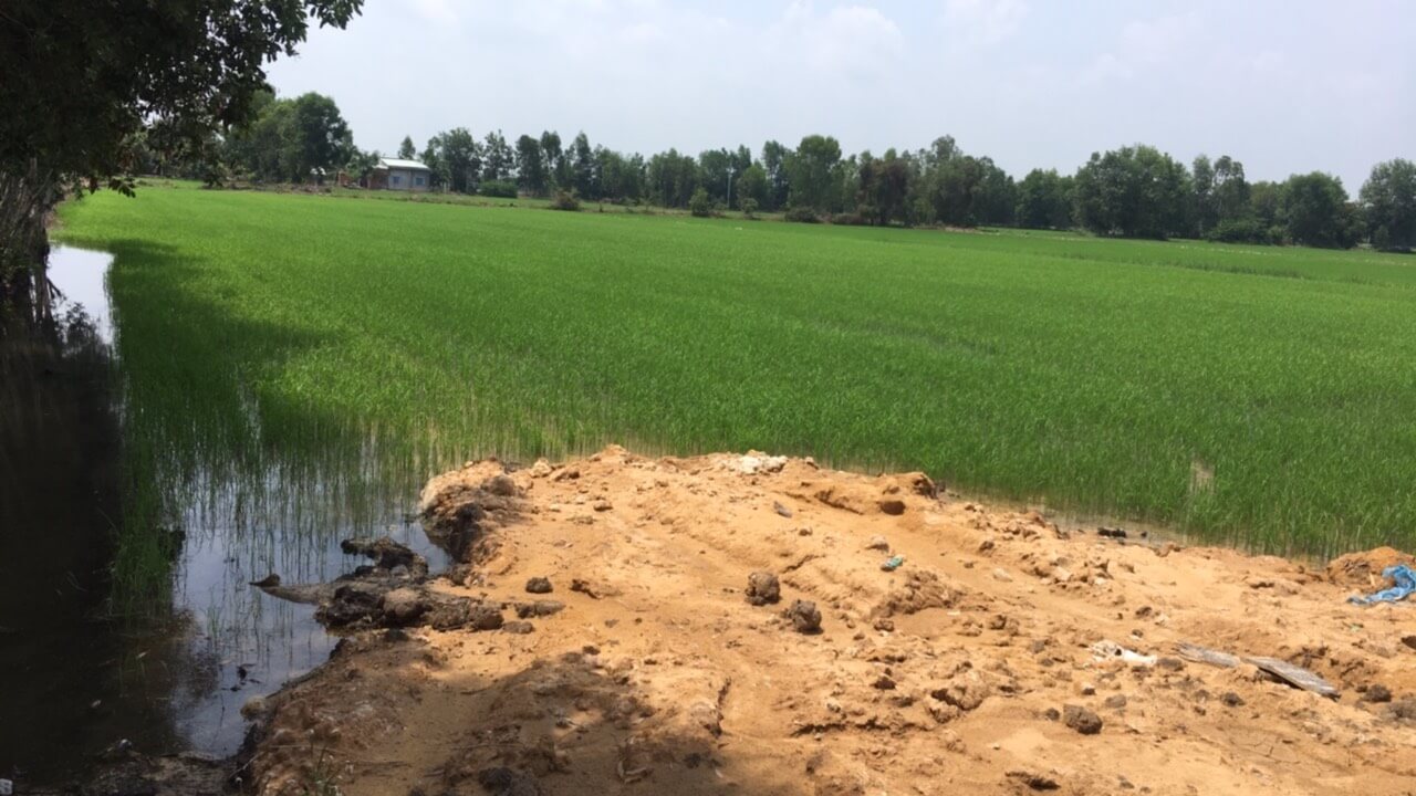 Bán đất Tân Phú, Đồng Nai 2