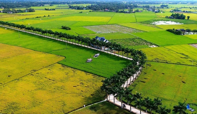 kinh tế huyện Tân Trụ, Long An - 1