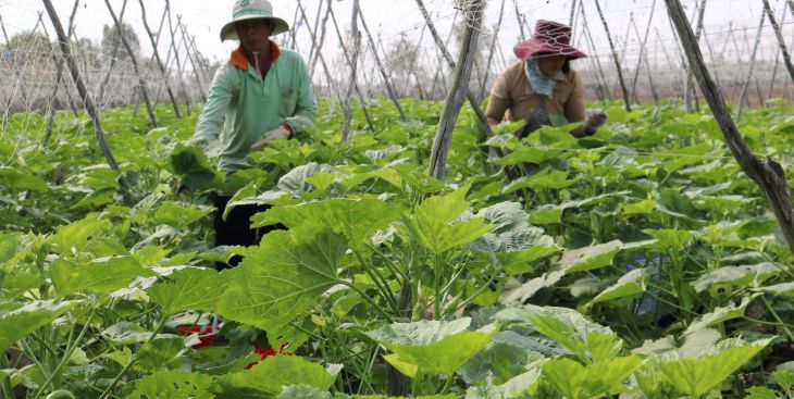 Kinh tế huyện Thủ Thừa, Long An bây giờ ra sao?