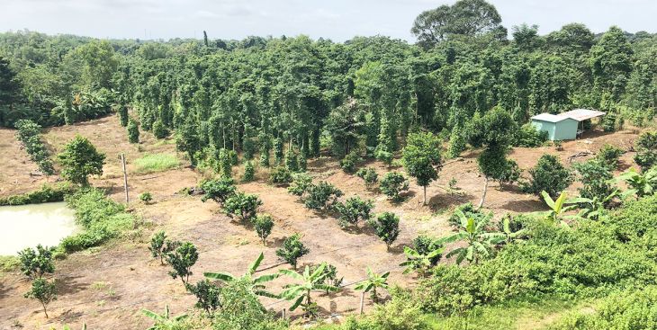 Mua bán nhà đất Kon Tum 2020 khởi sắc, đa dạng nguồn cung