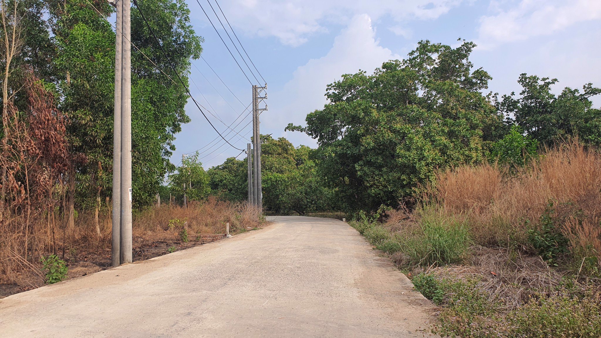 Đất nền xã An Viễn - 2