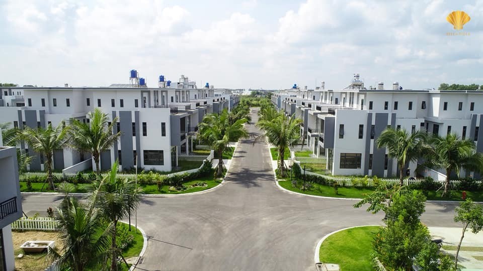 Tổng quan dự án