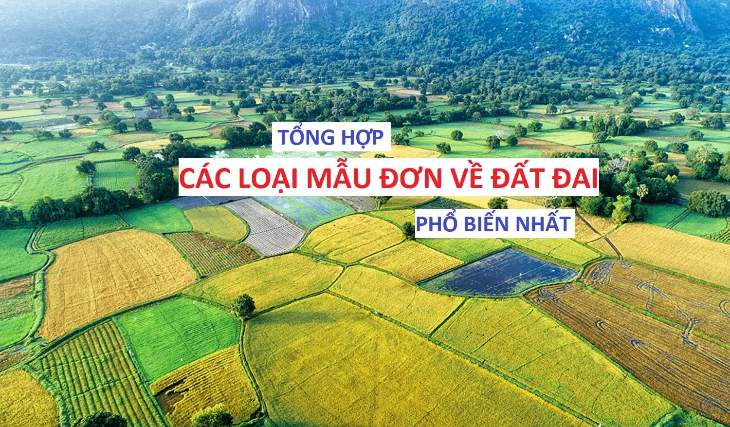 Các loại mẫu đơn về đất đai