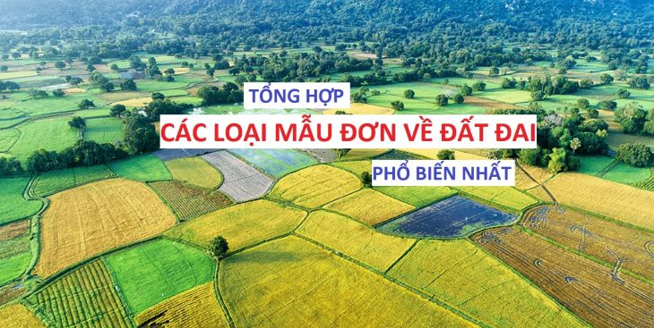 [Tất tần tật] Các loại mẫu đơn về đất đai phổ biến nhất