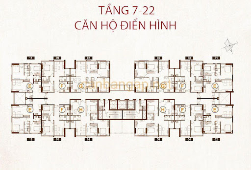 Bản vẽ căn hộ dự án