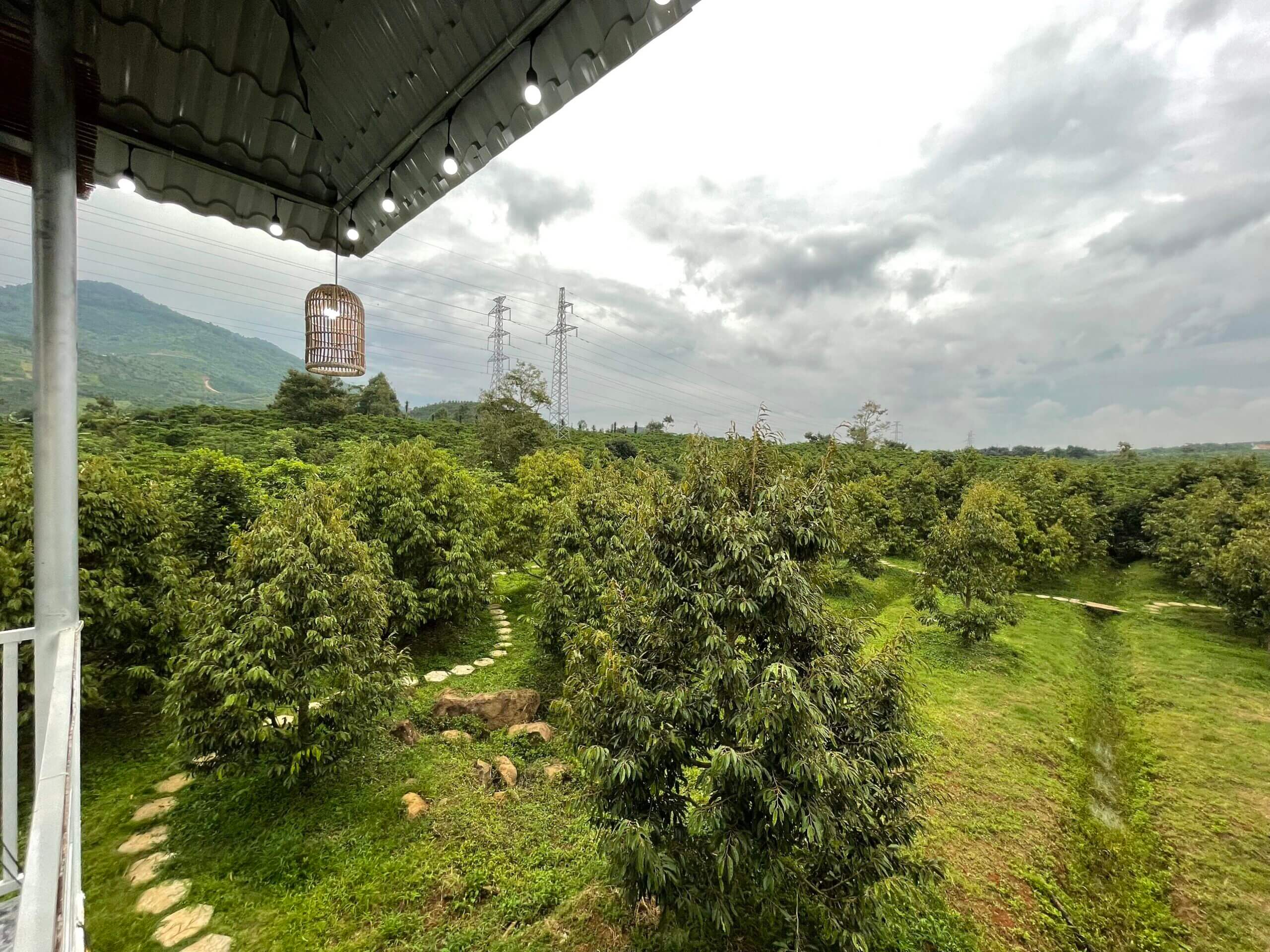 bán đất sầu riêng Bảo Lộc 3