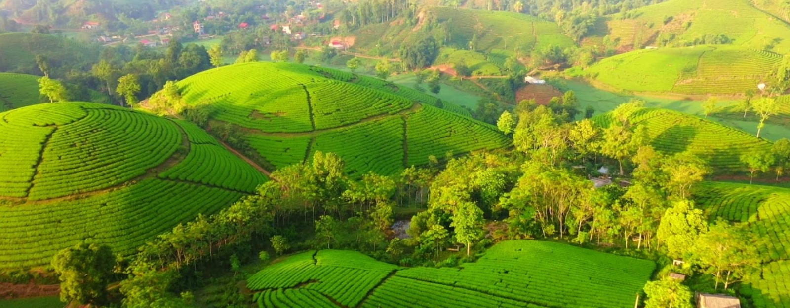 Có nên mua đất Bảo Lâm 1