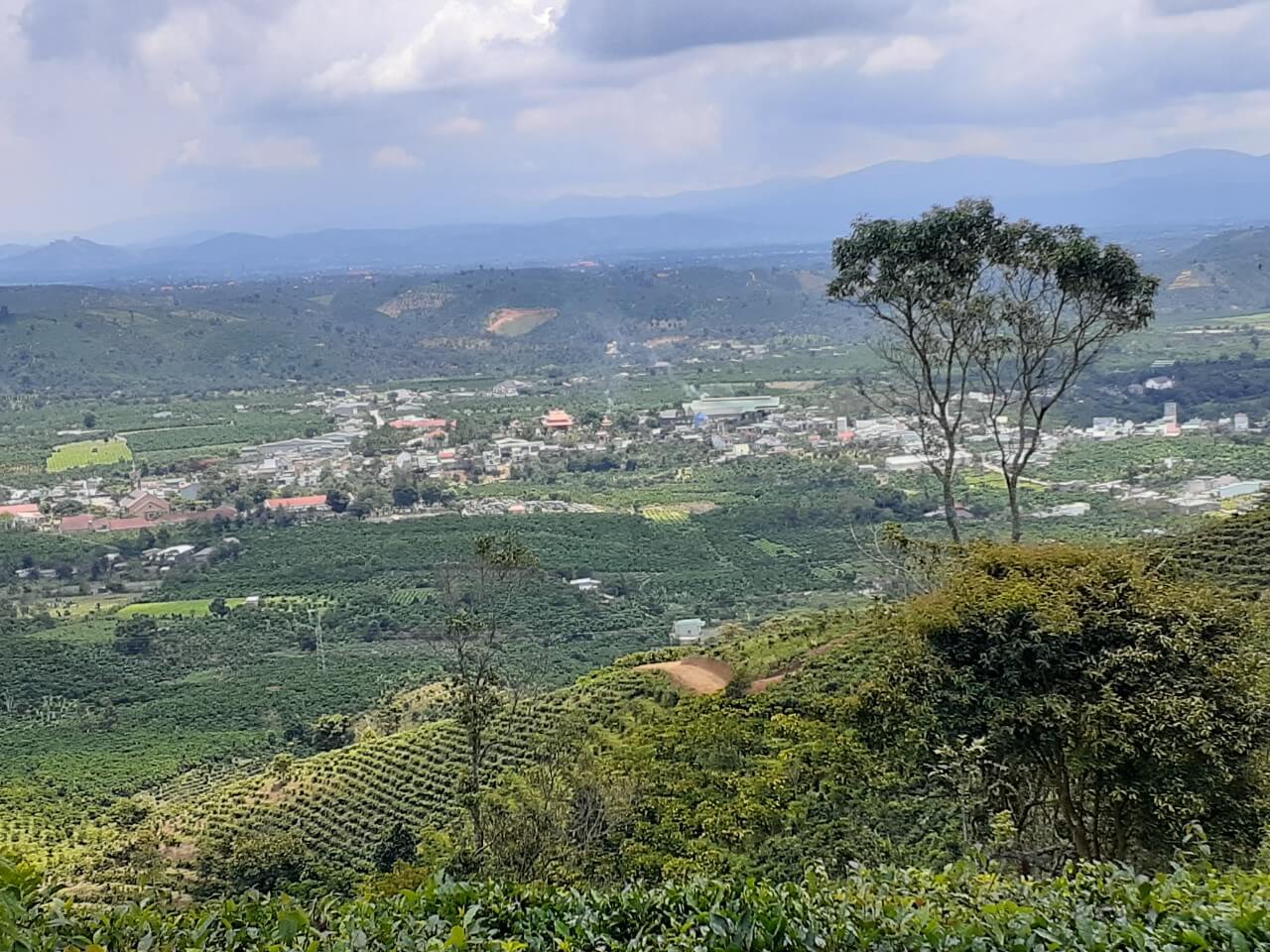 Có nên mua đất Bảo Lâm 3