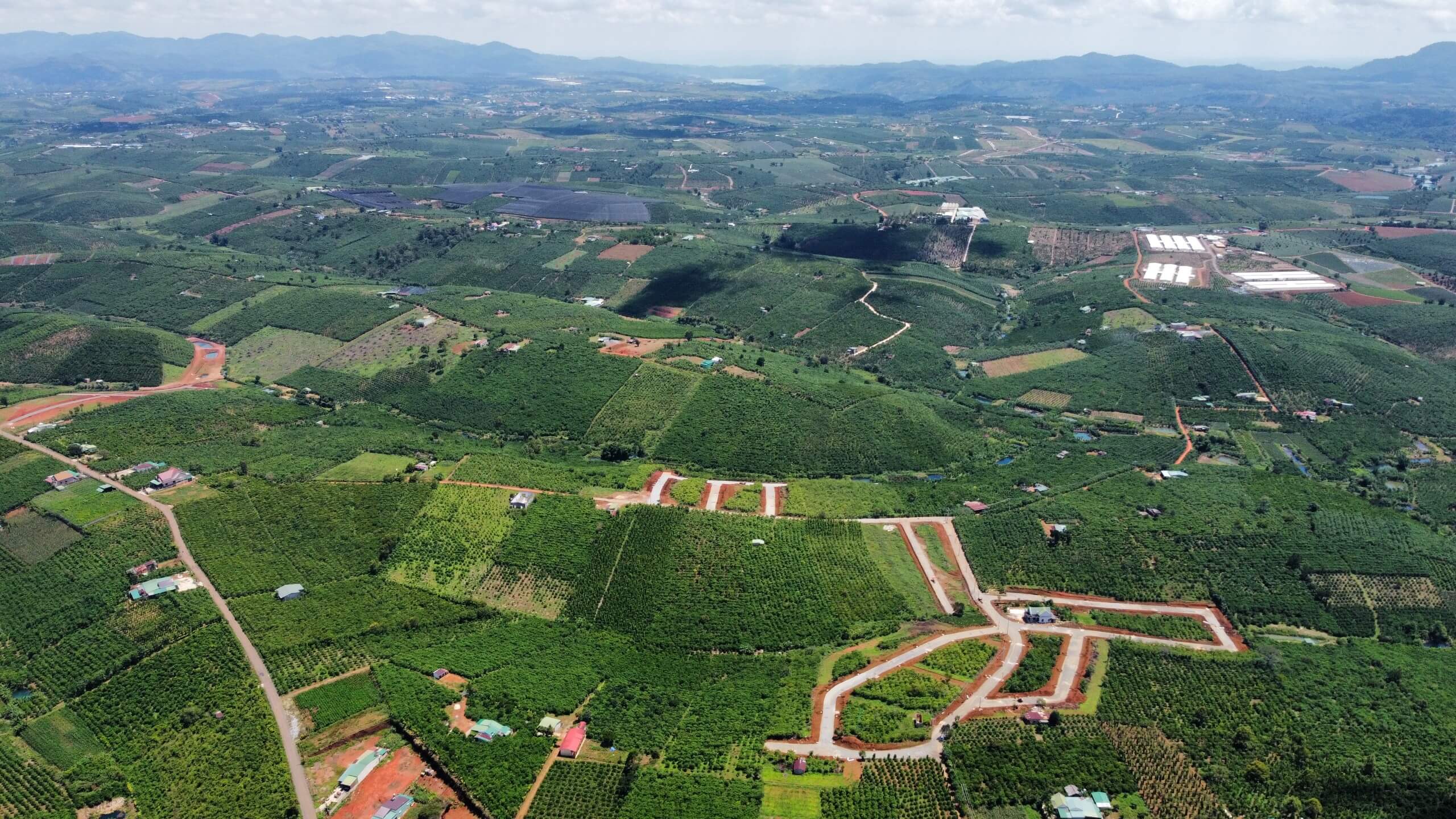 Đất Bảo Lâm, Lâm Đồng 1