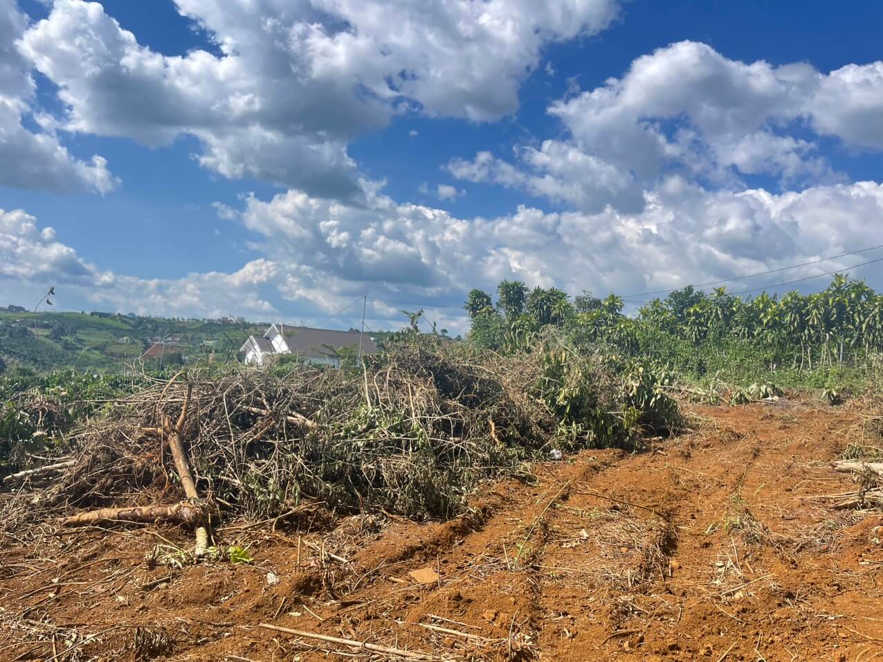 đất sào Bảo Lộc 4