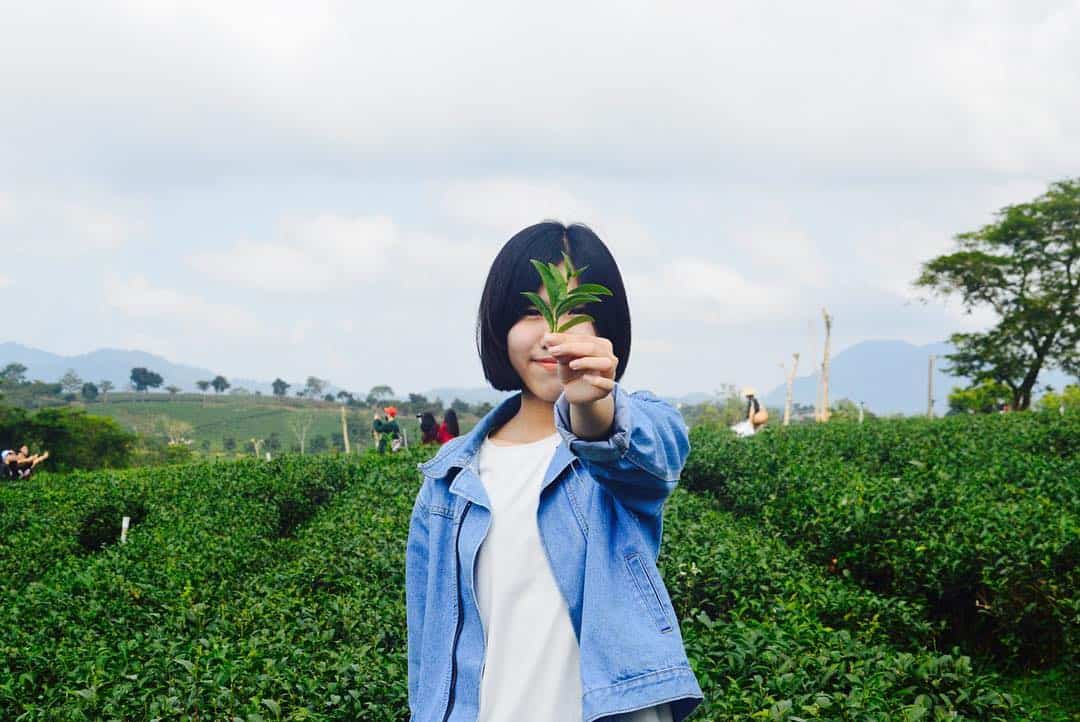 du lịch Bảo Lâm 7