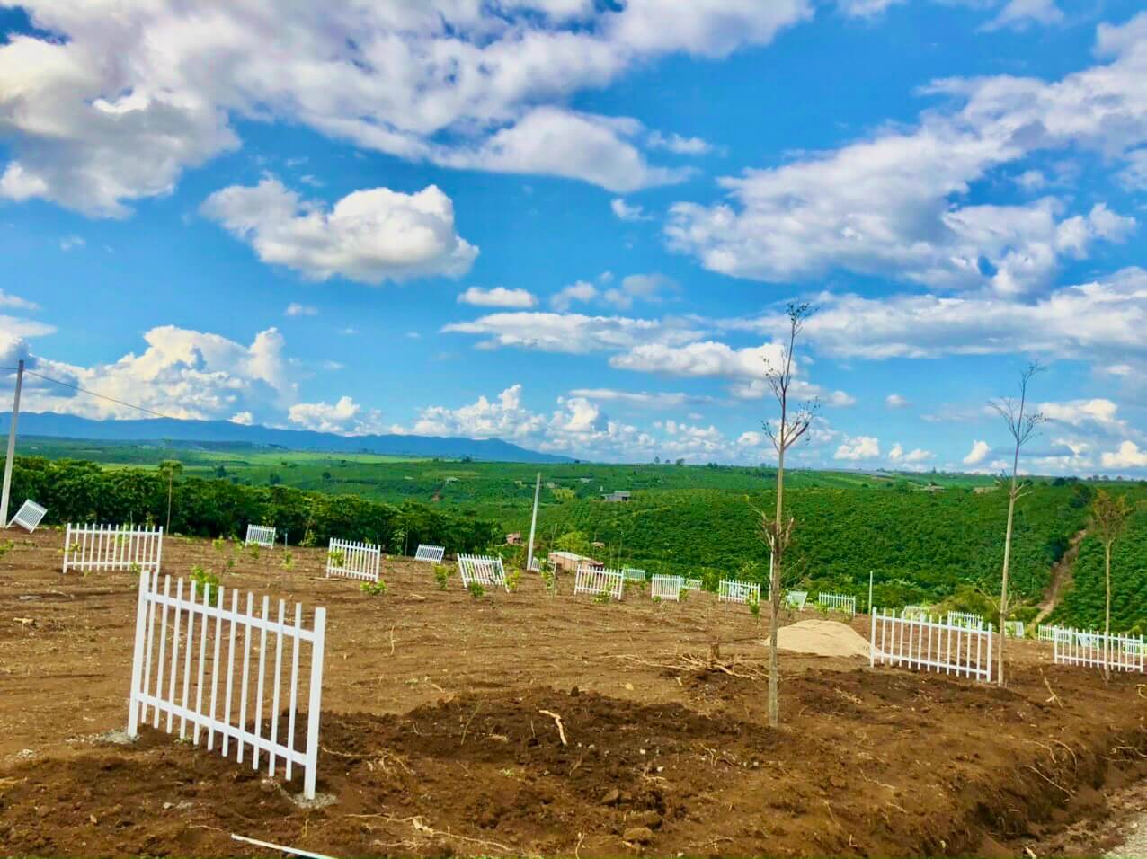 dự án Farm Hill Bảo Lộc 6