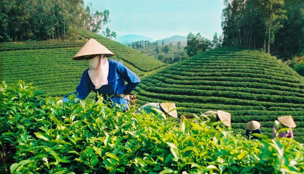 huyện Bảo Lâm (Lâm Đồng) 4