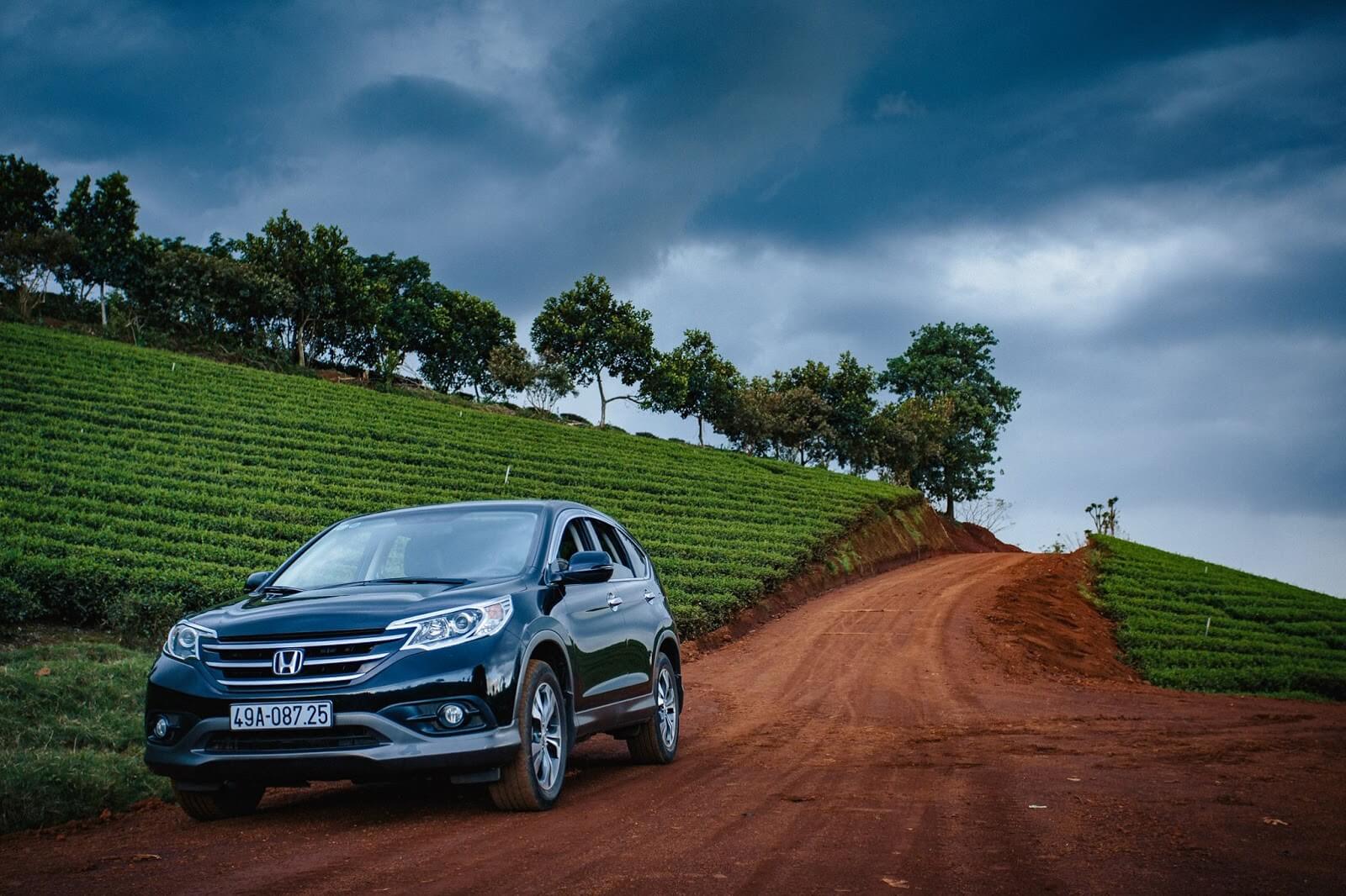 Bán đất đồi chè Bảo Lộc 2