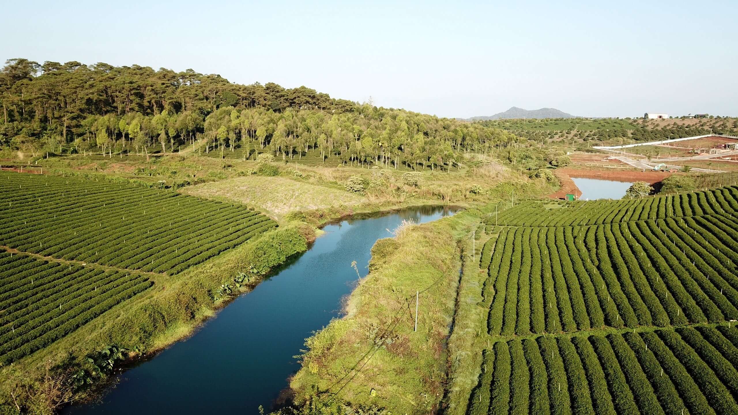 đất nông nghiệp Bảo Lộc 1