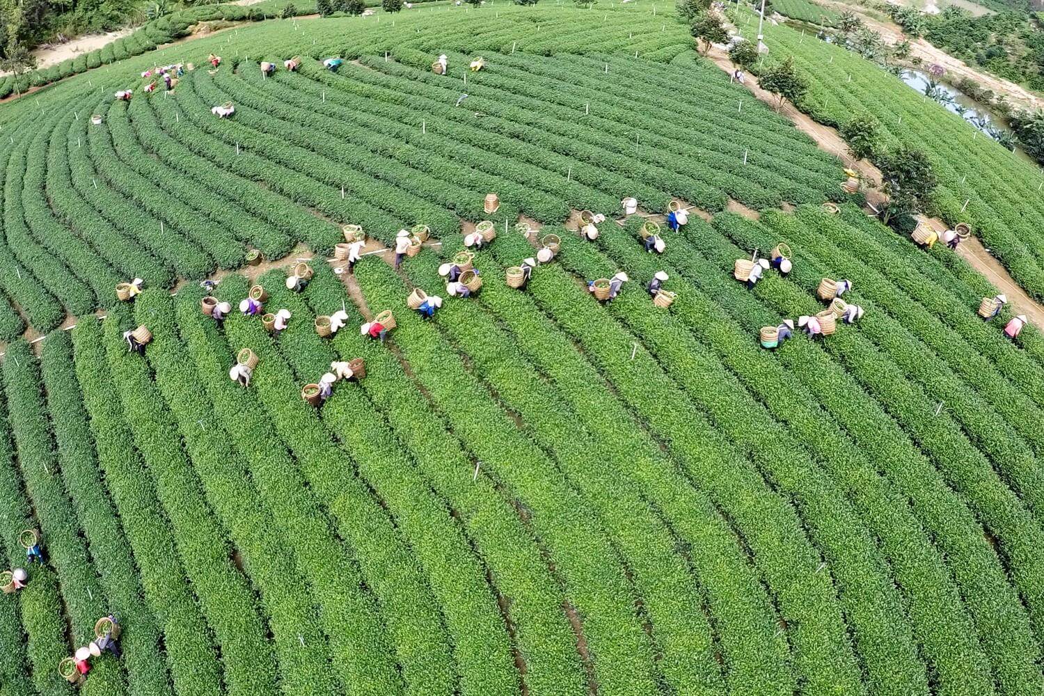 đất nông nghiệp Bảo Lộc 3