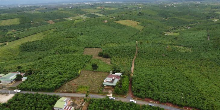 Tổng quan xã Lộc Quảng (Bảo Lâm, Lâm Đồng) & đánh giá tiềm năng