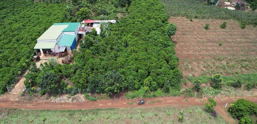 Xã Lộc Đức, Bảo Lâm - 2