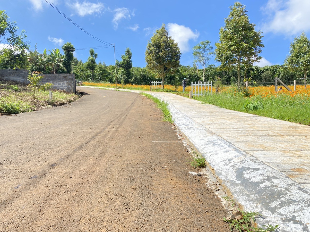 Xã Lộc Đức, Bảo Lâm - 3