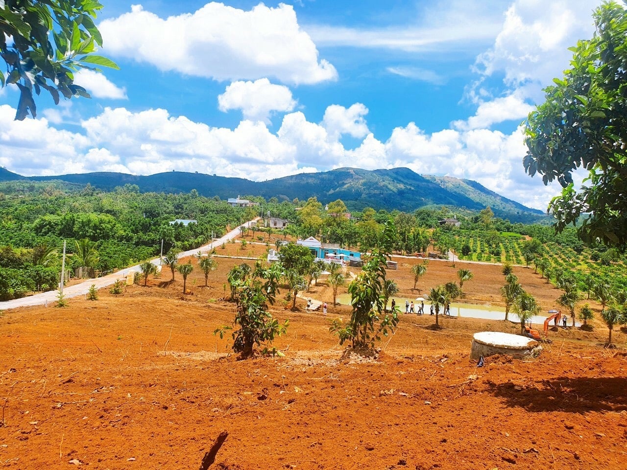 Xã Lộc Đức, Bảo Lâm - 4