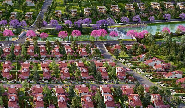 Sản phẩm La Mia Bảo Lộc - 1