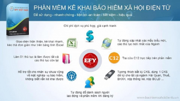 phần mềm bhxh efy - 2