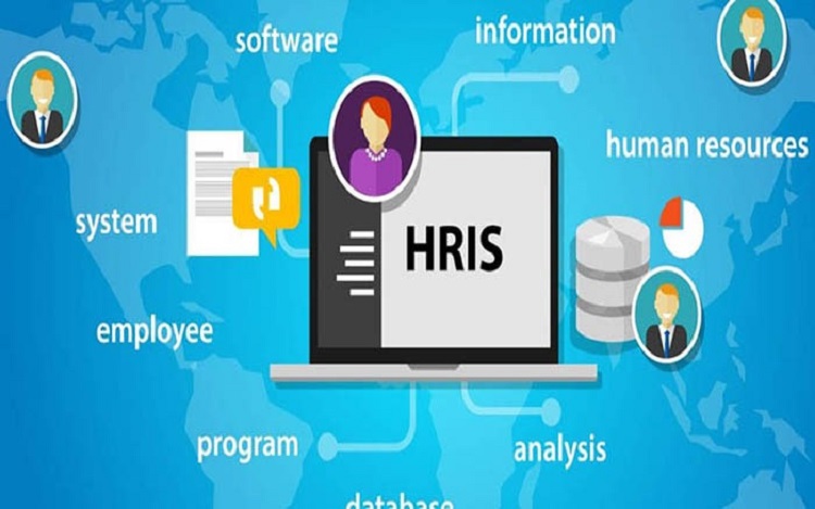 Phần mềm nhân sự Sv-HRIS