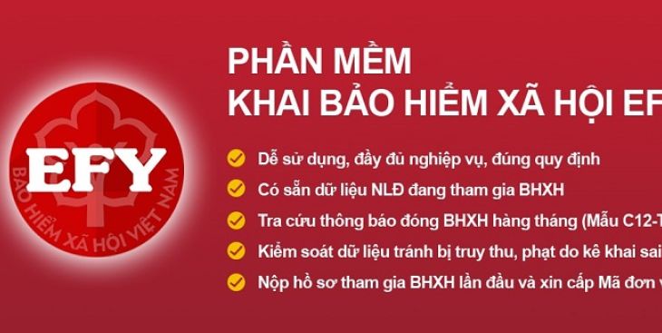 Phần mềm BHXH Efy: Tất tần tật những thông tin cần biết trước khi sử dụng